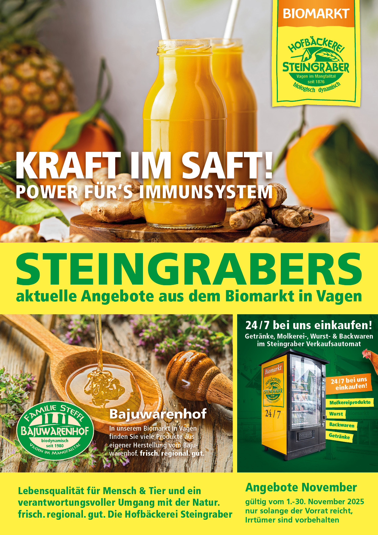 Steingraber Angebot A4 November 2025 1